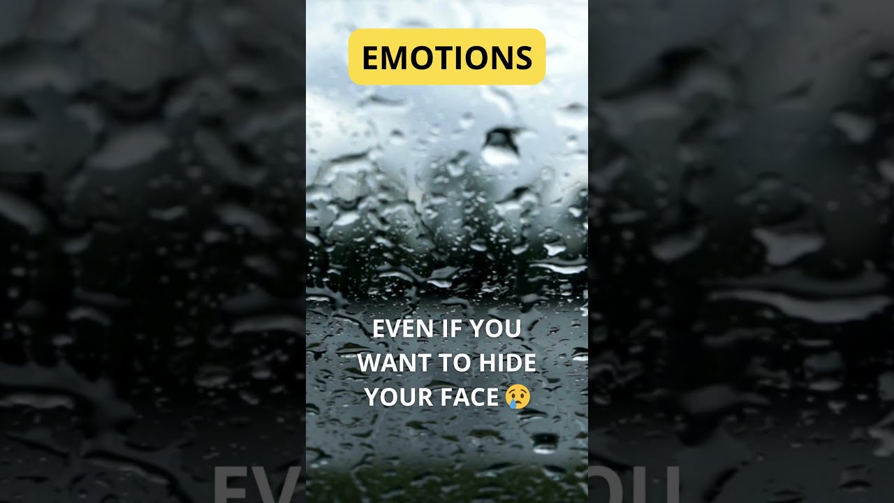 EMOTIONS 