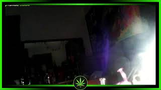 hghskyy  dabs and dragon ball