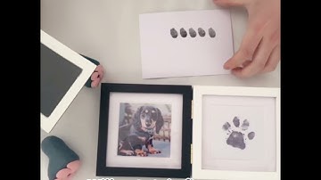 Pet paw print making tutorial video