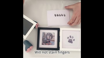 Pet paw print making tutorial video