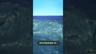 When the Sea Receded… The Deadliest Tsunami in History