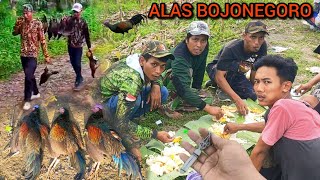 Berburu Ayam Hutan di Watu Jago Bojonegoro.😲😲😲 || With @barrhunting342 @SPSHUNTER