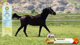 YOMRALI