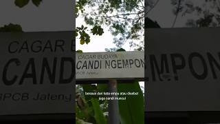 peninggalan kerajaan mataram kuno candi ngempon diwilayah semarang jawa tengah#pesonaalam #storywa