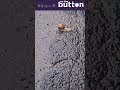 20 - Taking the slow lane