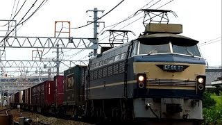 67レ EF66 27 2019/08/24