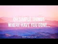 oh simple things, where have you gone... (tiktok remix) - Chill MOOD channel