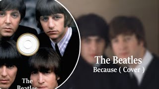The Beatles ( Because )