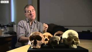 ● Ancient DNA find is 'very exciting'