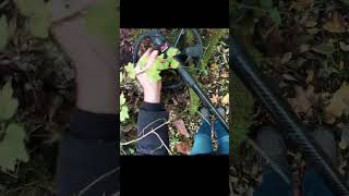 Trouvaille de pièces Romaines contre un vieux mur en forêt – CTX3030