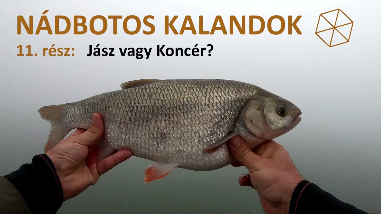 Nádbotos Kalandok 11. rész - Jász vagy Koncér?