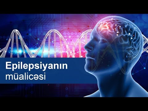 Video: Pişiklərdə Epilepsiya Necə Müalicə Olunur