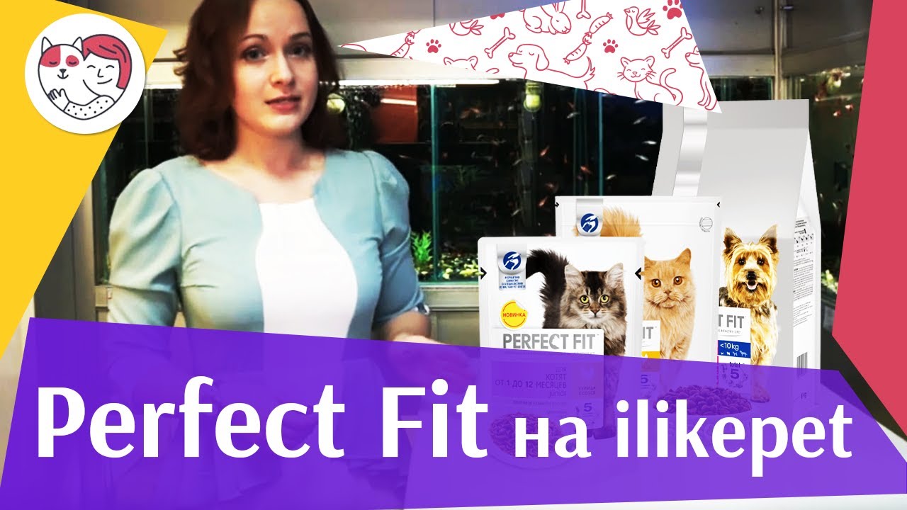 Perfect Fit на ilikepet