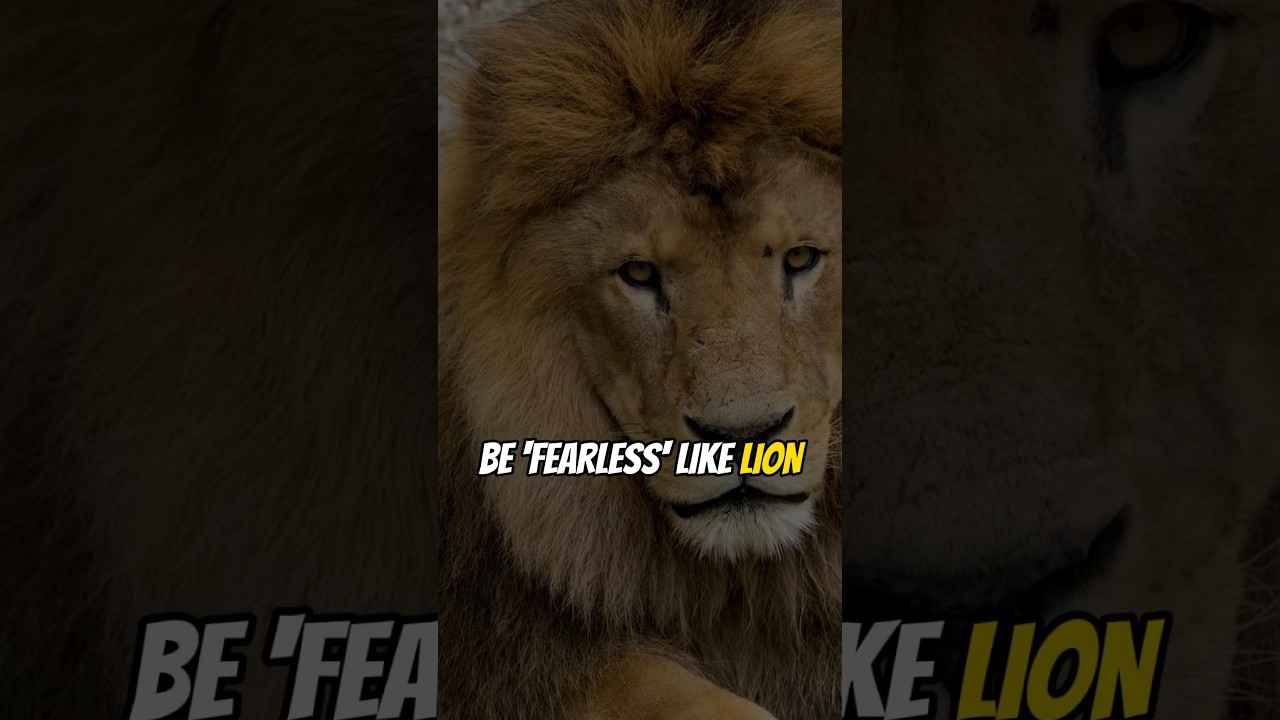 Believe in Yourself: Motivational Video for Success #motivation #youtubeshorts #motivational#success