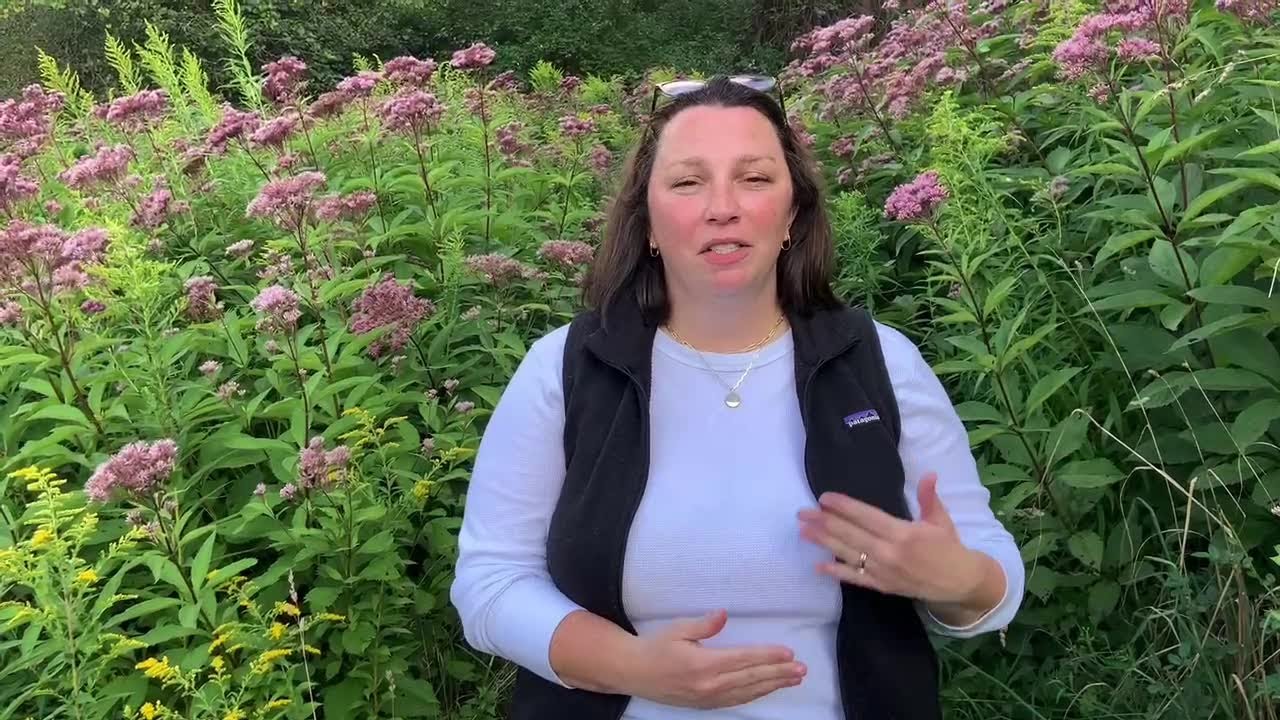 Marisa Riggi shares her goals as the new WNY Land Conservancy executive ...