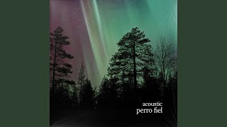perro fiel (acoustic) - sunkissed