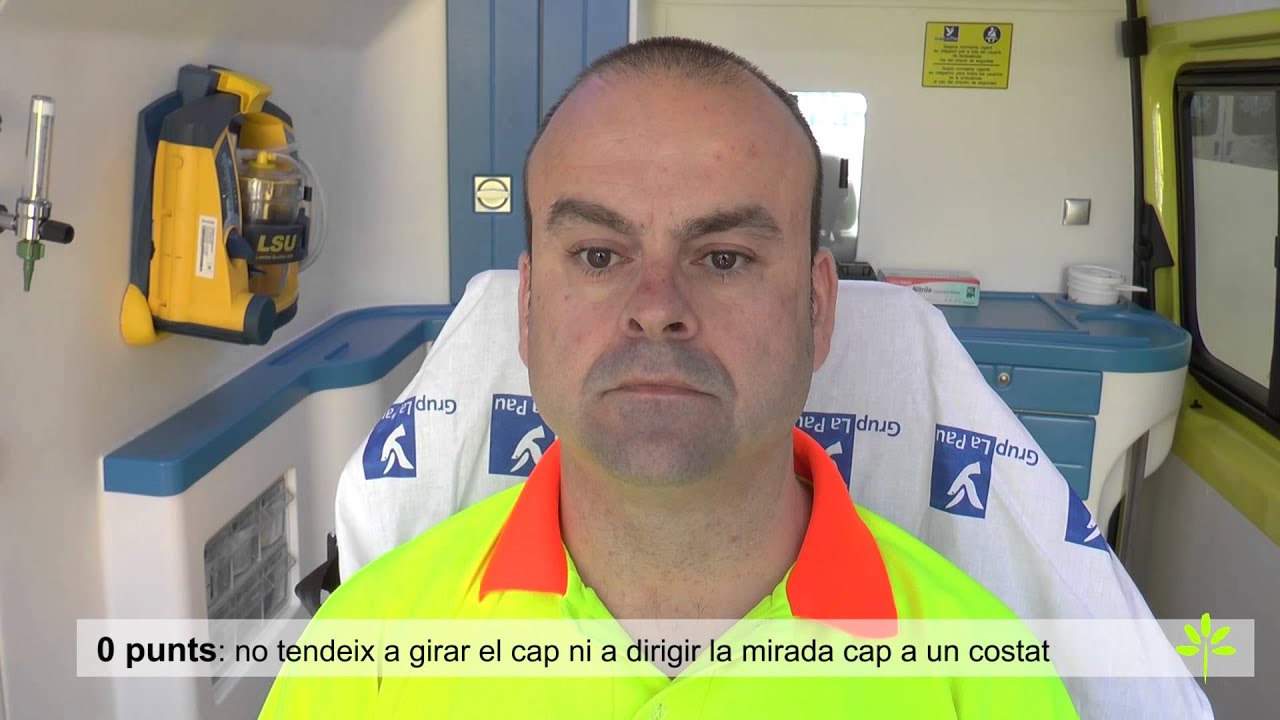 Germans Trias professionals: Escala RACE