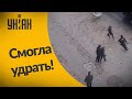 ОМОН в Беларуси пытался догнать девочку... но не на этот раз!