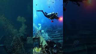 SS THISTLEGORM. Dive safari. Red Sea, 2026 #scubadiving #дайвинг #дайвинг #красноеморе