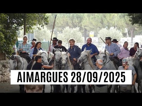 Ref:eIIseSYLz5Y Aimargues 28/09/2025 F�te d'automne 