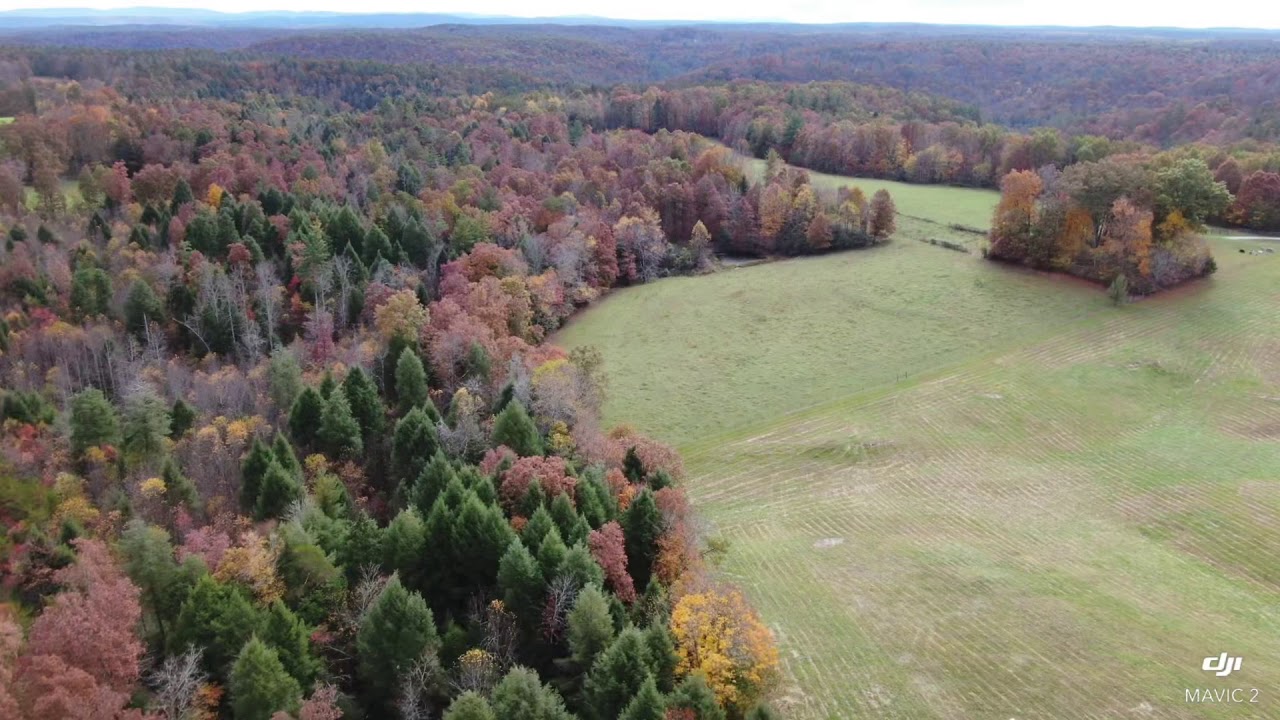 Deer Lodge Tennessee YouTube