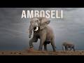The Land of GIANTS - Amboseli National Park