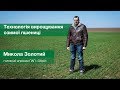 Микола Золотий, головний агроном ПАП «Обрій», — про технологію вирощування озимої пшениці