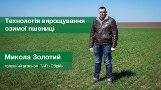 Микола Золотий, головний агроном ПАП «Обрій», — про технологію вирощування озимої пшениці