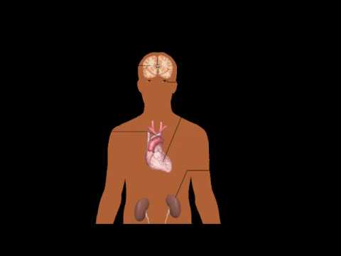 Video: Prirodni Lijekovi Za Liječenje Hipertenzije