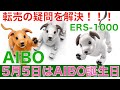aibo アイボ が我が家に犬！？がやってきた！【aiboの転売購入を徹底解決！！】