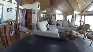 Bear Breaks in Cabin After Knocking Down the Door