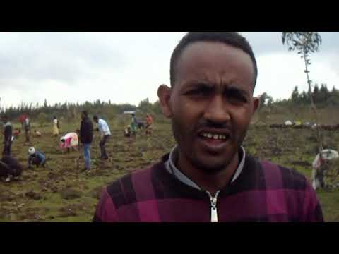 ቪዲዮ: የመማሪያ ኩርባ ከተሞክሮ ከርቭ እንዴት ይለያል?