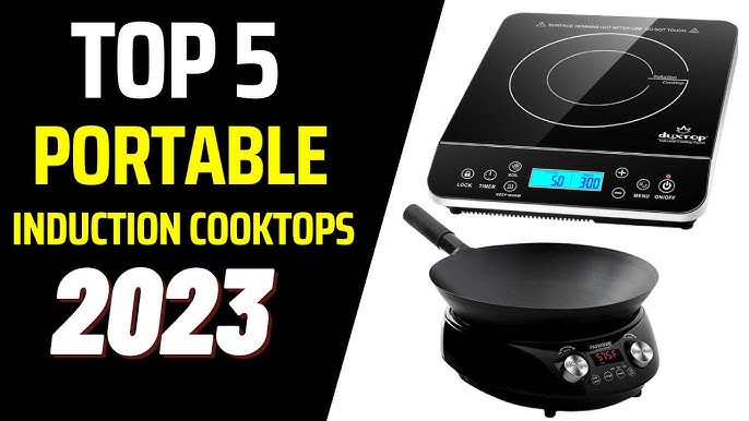 The Best Portable Burners: Induction, Gas, or Electric?