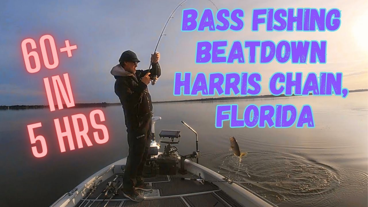 Epic Harris Chain 60 Bass Fishing Adventure – Prepare For A Beatdown!