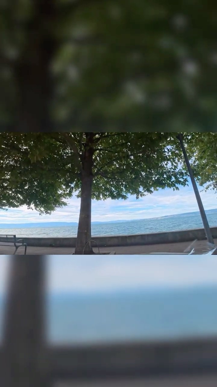 Lakeside promenade drive 🌳 benches, trees and no one in a hurry #ScenicDrive #Lakeside #4KDrive