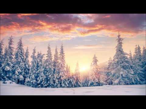 ლუკა შაიშმელაშვილი - თებერვალი დადგაო...