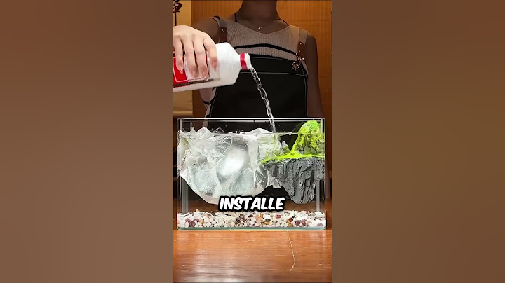Cette femme a construit un aquarium pour des poissons!
