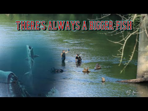 The Delphi Murders - There's Always A Bigger Fish