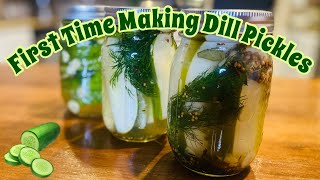 First Time Making Dill Pickles 🥒￼From Cucumbers￼ From My Garden