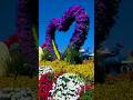 Nature flowers 🌺🌸🌴🍀🌷