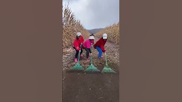 #farmequipment #gardenequipment #farming #shortvideo