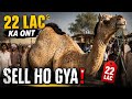Khiyali bypass mandi 😍 kya rate boht high ha ? 😱 Subscribe. 