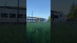 S9 aus Mannheim Richtung Karlsruhe #sbahn #rheinneckar