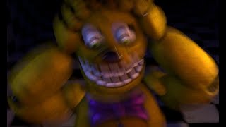 Sfm It Was A Misinput