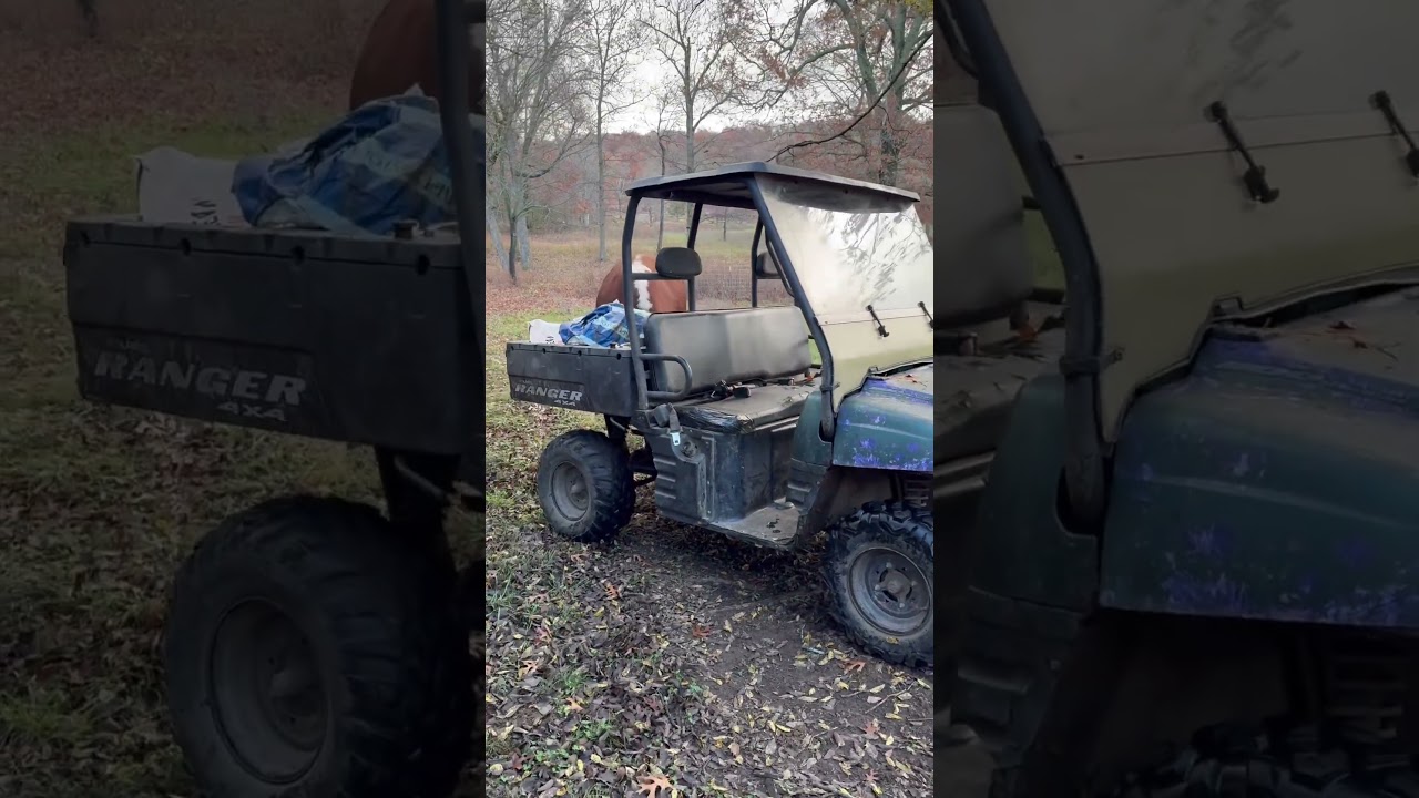 Все держитесь, вот идет Руфус rufusthebull 