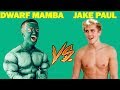 DWARF MAMBA Vines Vs JAKE PAUL Vines (W/Titles) Best Vine Compilation 2016