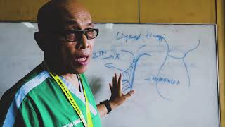 Blok 15  Hermina Dan Kelainan Kongenital Digestif  Dr Sindu Saksono Spb  Spba