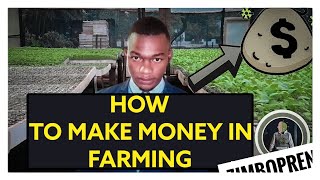 How To Make Money In Farming - Zimbabwe