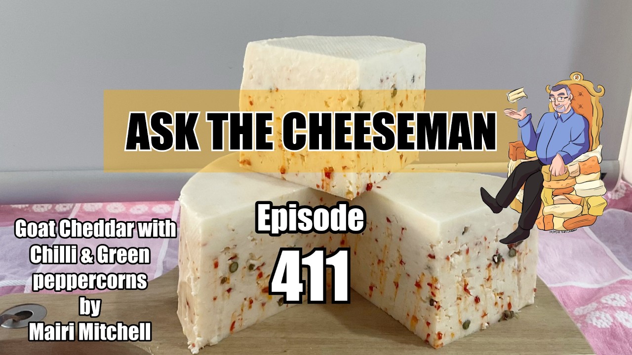 🔴 Ask the Cheeseman #411