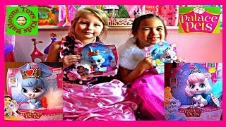 Princess Danielle with Special Guest Princess Ella Disney Princess Palace Pets Talking and Singing